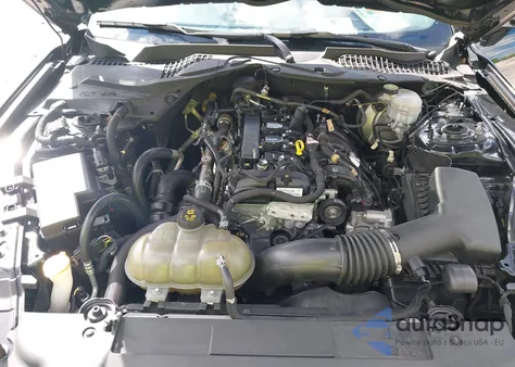 2019 Ford Mustang Ecoboost z USA, uszkodzony, nr VIN 1FA6P8TH5K5129028